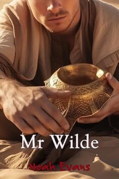Mr Wilde